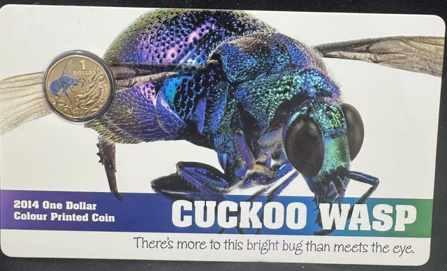 2014 $1 coin Australia RAM Card – CUCKOO WASP Bright Bugs Coloured Coin UNC